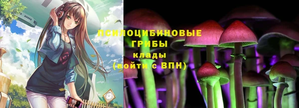 ALPHA PVP Ростов
