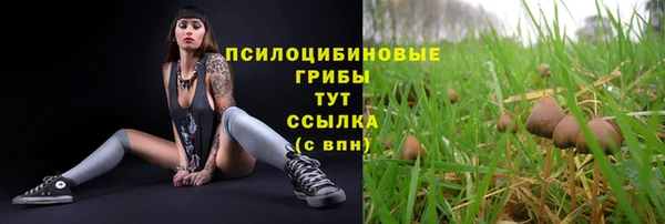 тгк Россошь