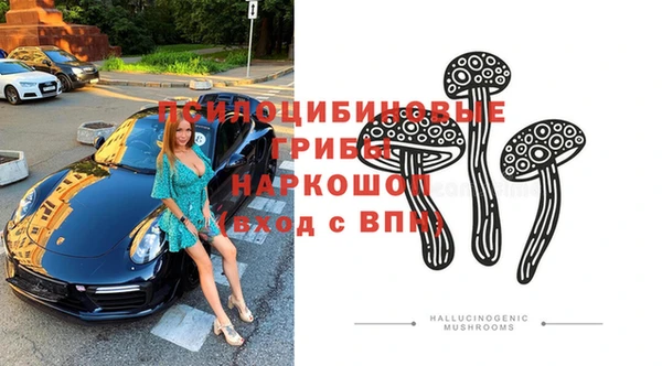 тгк Россошь