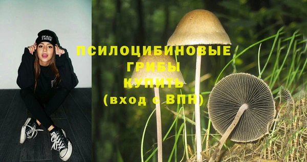 герыч Рославль