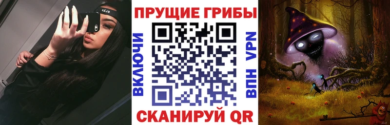 Галлюциногенные грибы Psilocybe где купить наркоту Великий Устюг