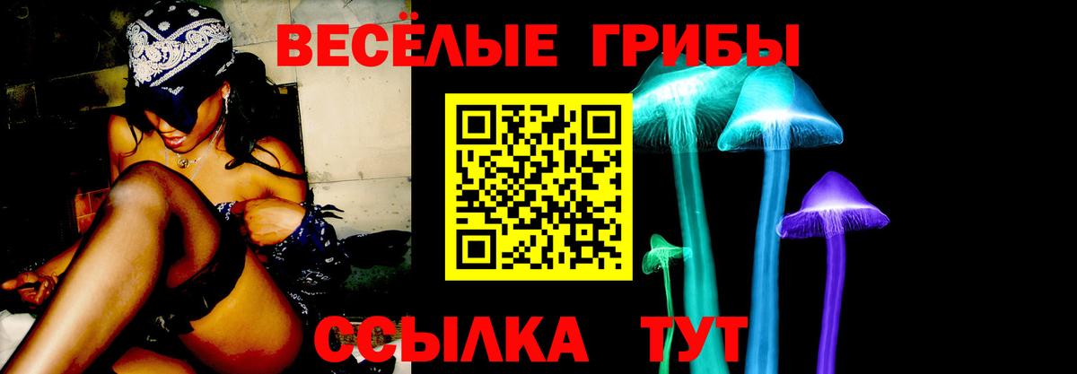 Псилоцибиновые грибы Psilocybine cubensis  где купить наркоту  Вход с VPN  Великий Устюг  Псилоцибиновые грибы Cubensis 