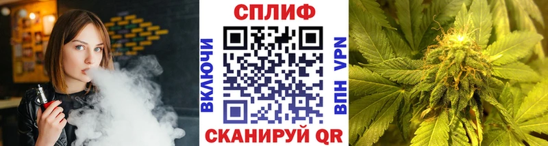 Бошки марихуана конопля  где купить   Великий Устюг 